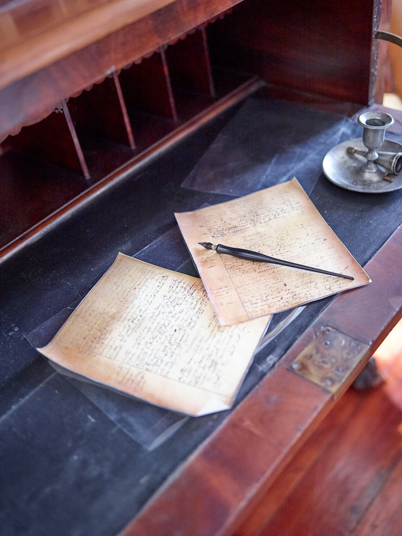 Sign Up and Stay Connected!