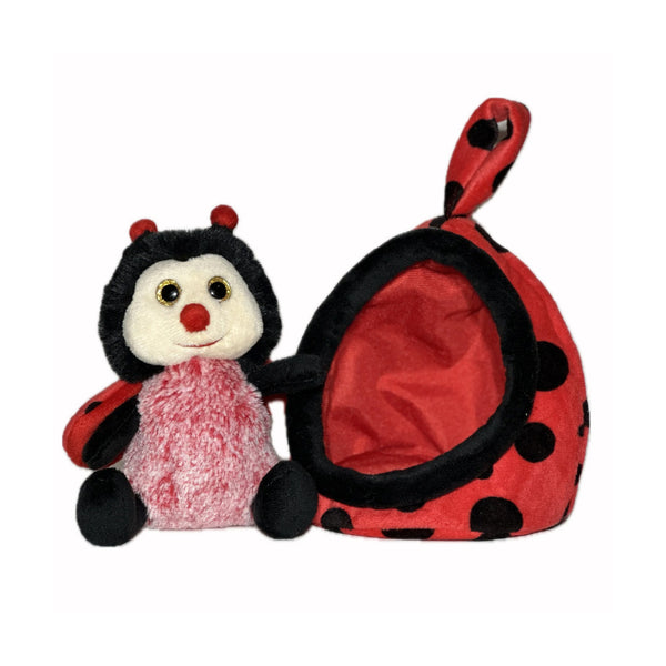 Lady Bug in the House