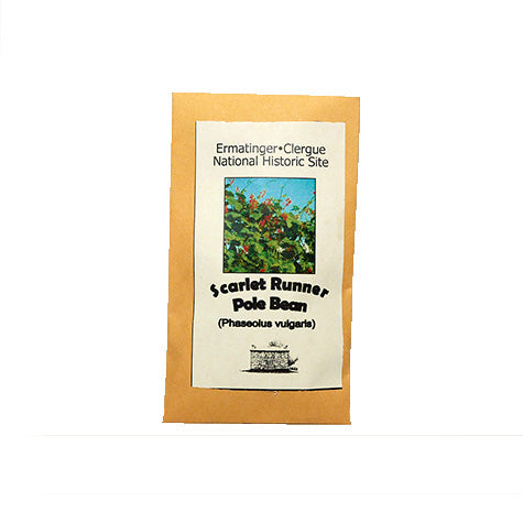 Scarlet Runner Pole Bean Seeds